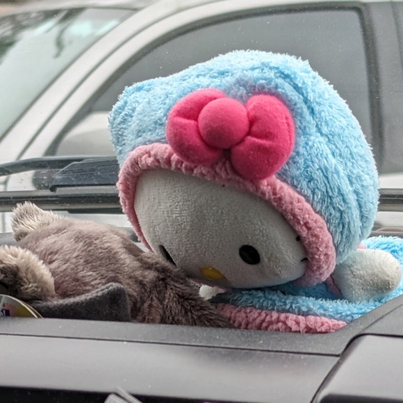 Meet your Posher, Devora - Picture 1 of 1